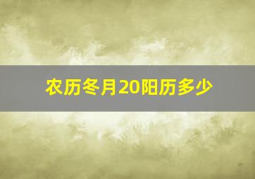 农历冬月20阳历多少