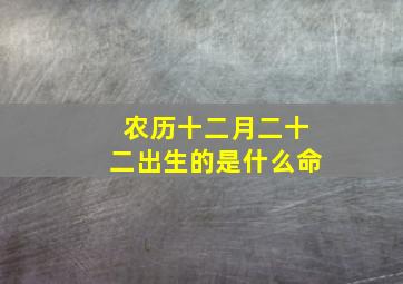 农历十二月二十二出生的是什么命