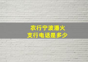 农行宁波潘火支行电话是多少