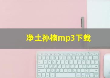 净土孙楠mp3下载