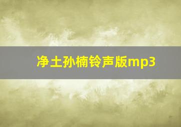 净土孙楠铃声版mp3