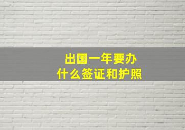 出国一年要办什么签证和护照