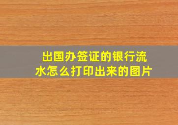 出国办签证的银行流水怎么打印出来的图片