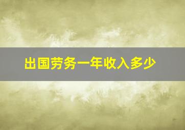 出国劳务一年收入多少