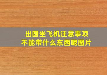 出国坐飞机注意事项不能带什么东西呢图片