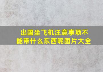 出国坐飞机注意事项不能带什么东西呢图片大全