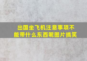 出国坐飞机注意事项不能带什么东西呢图片搞笑