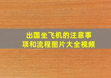 出国坐飞机的注意事项和流程图片大全视频