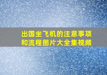 出国坐飞机的注意事项和流程图片大全集视频