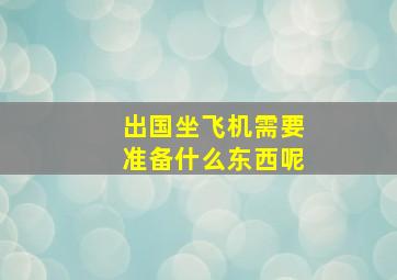 出国坐飞机需要准备什么东西呢