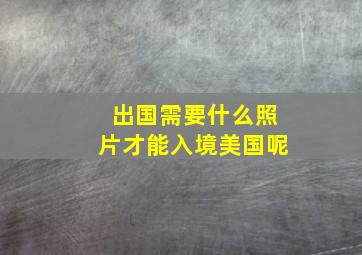 出国需要什么照片才能入境美国呢