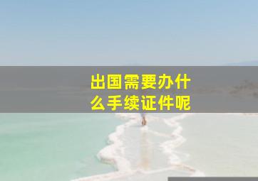 出国需要办什么手续证件呢