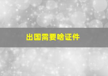 出国需要啥证件