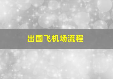 出国飞机场流程