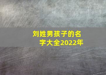 刘姓男孩子的名字大全2022年