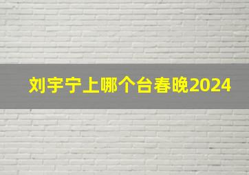 刘宇宁上哪个台春晚2024