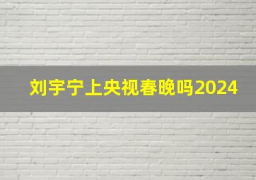 刘宇宁上央视春晚吗2024