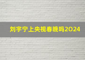 刘宇宁上央视春晚吗2O24