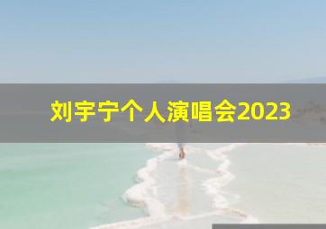 刘宇宁个人演唱会2023