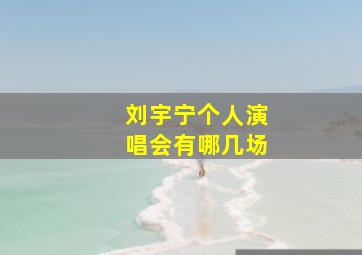 刘宇宁个人演唱会有哪几场