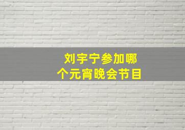 刘宇宁参加哪个元宵晚会节目