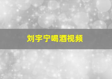 刘宇宁喝酒视频