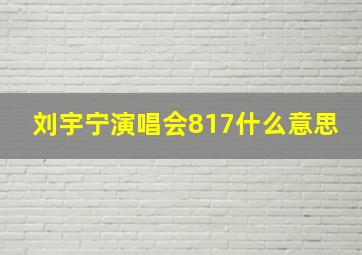 刘宇宁演唱会817什么意思