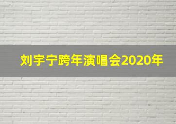 刘宇宁跨年演唱会2020年