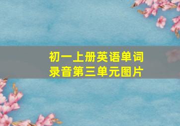 初一上册英语单词录音第三单元图片