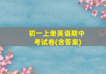 初一上册英语期中考试卷(含答案)