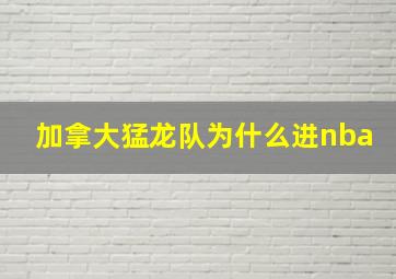 加拿大猛龙队为什么进nba