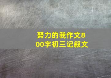 努力的我作文800字初三记叙文