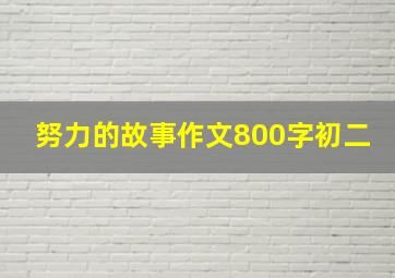 努力的故事作文800字初二