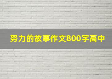 努力的故事作文800字高中