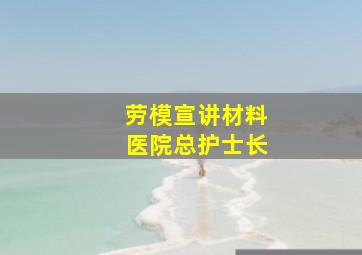 劳模宣讲材料医院总护士长