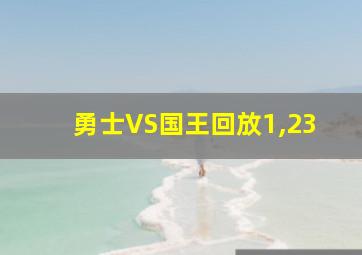 勇士VS国王回放1,23