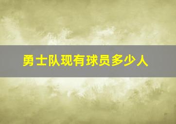 勇士队现有球员多少人