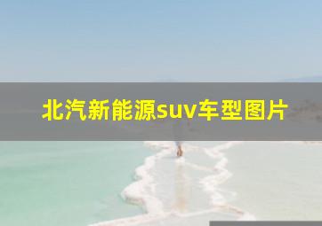 北汽新能源suv车型图片