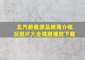 北汽新能源品牌简介概况图片大全视频播放下载