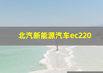 北汽新能源汽车ec220