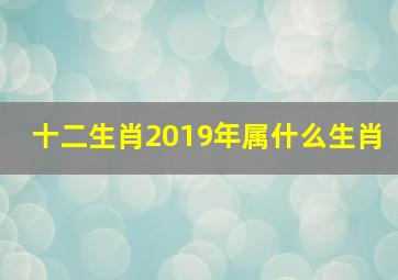 十二生肖2019年属什么生肖