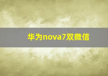 华为nova7双微信