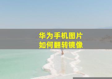 华为手机图片如何翻转镜像