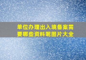 单位办理出入境备案需要哪些资料呢图片大全