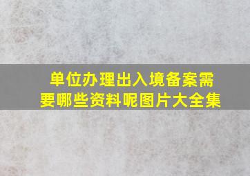 单位办理出入境备案需要哪些资料呢图片大全集