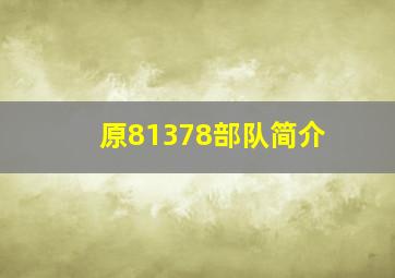 原81378部队简介