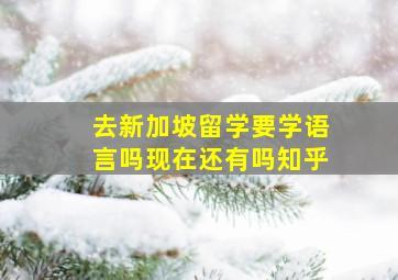 去新加坡留学要学语言吗现在还有吗知乎