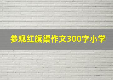 参观红旗渠作文300字小学