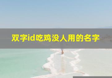 双字id吃鸡没人用的名字