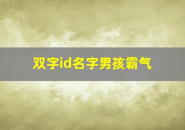 双字id名字男孩霸气